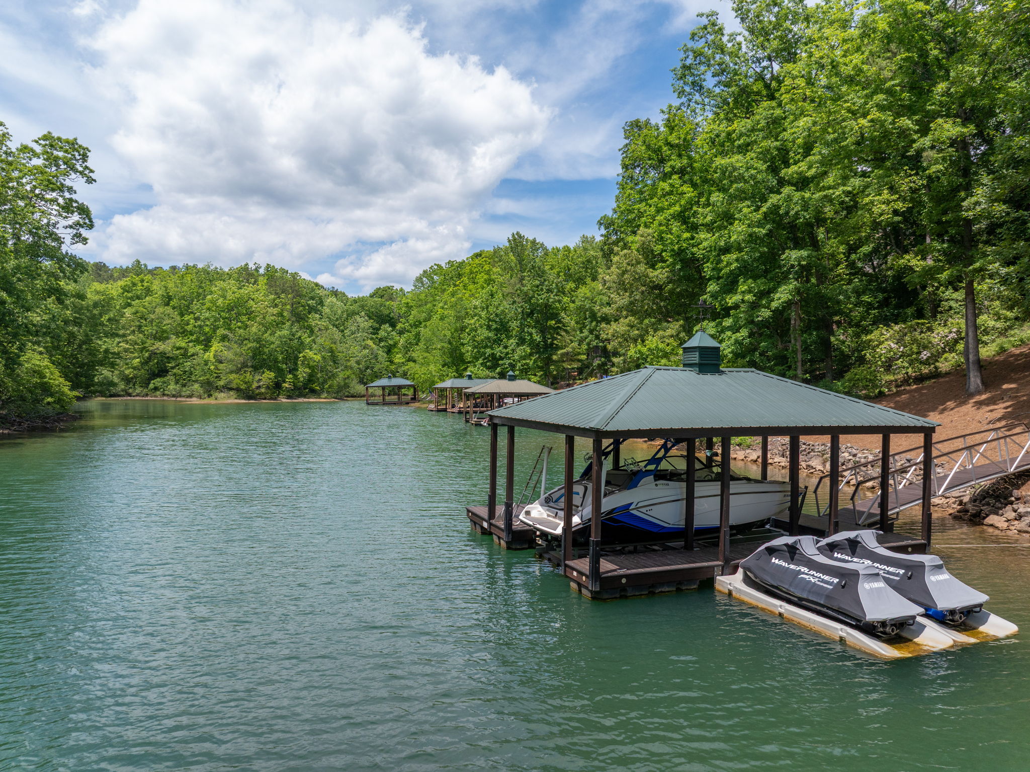  734 Placid Cove Way, Salem, SC 29676 - 物件實景