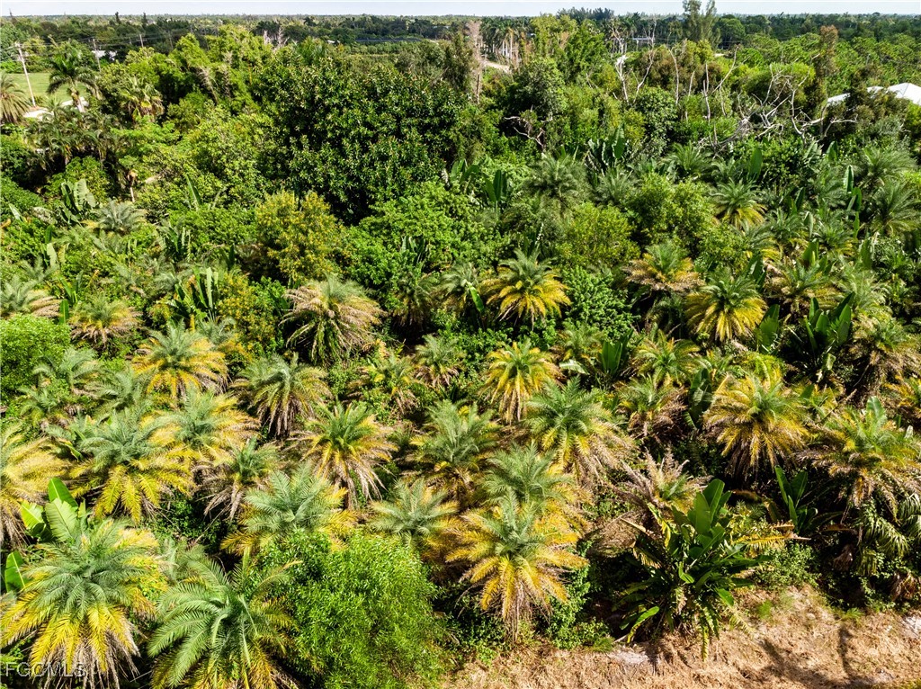 Bokeelia, Florida, 33922, United States, ,Land,For Sale,1980492