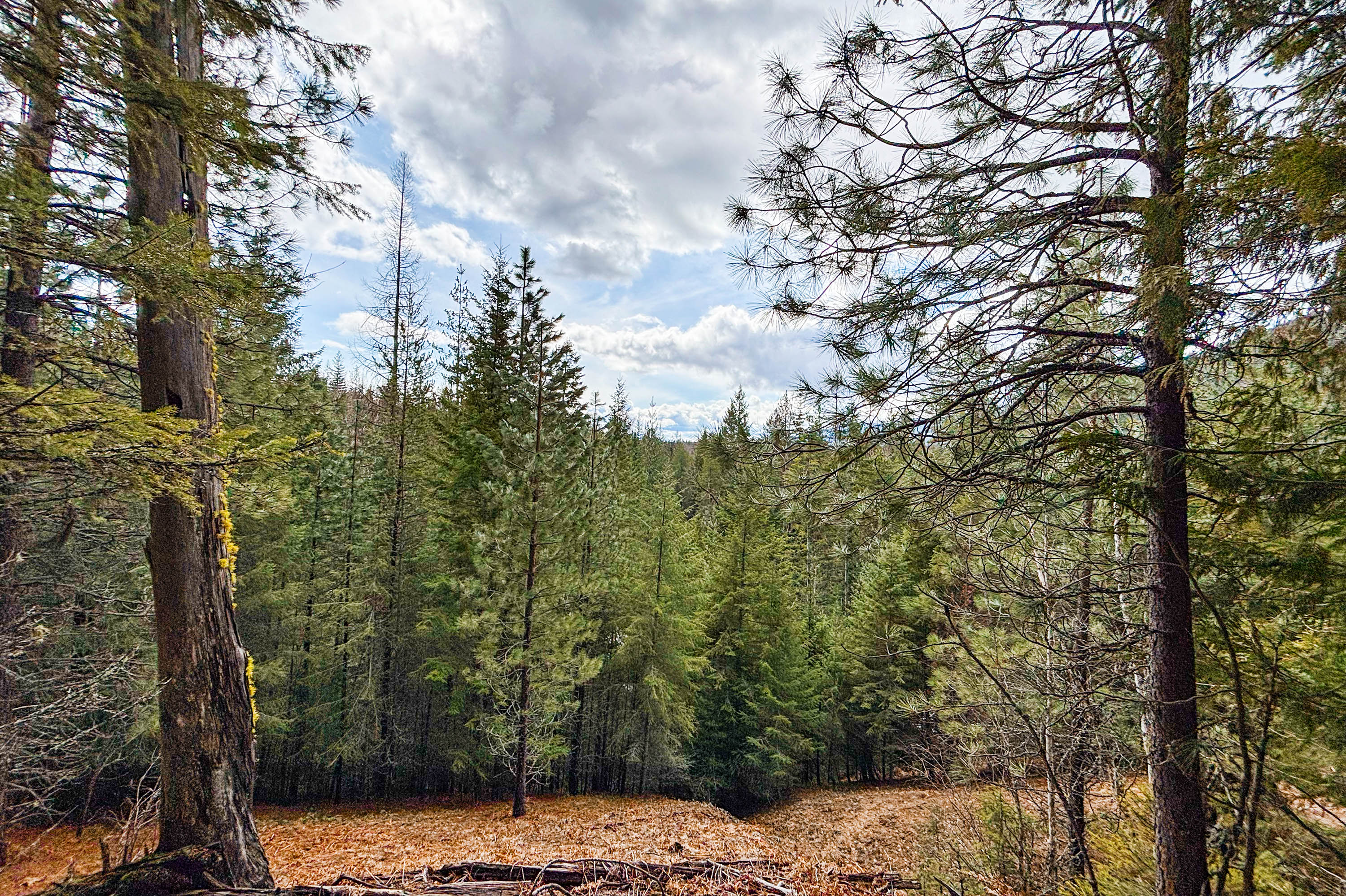 Sandpoint, Idaho, 83864, United States, ,Land,For Sale,2016068