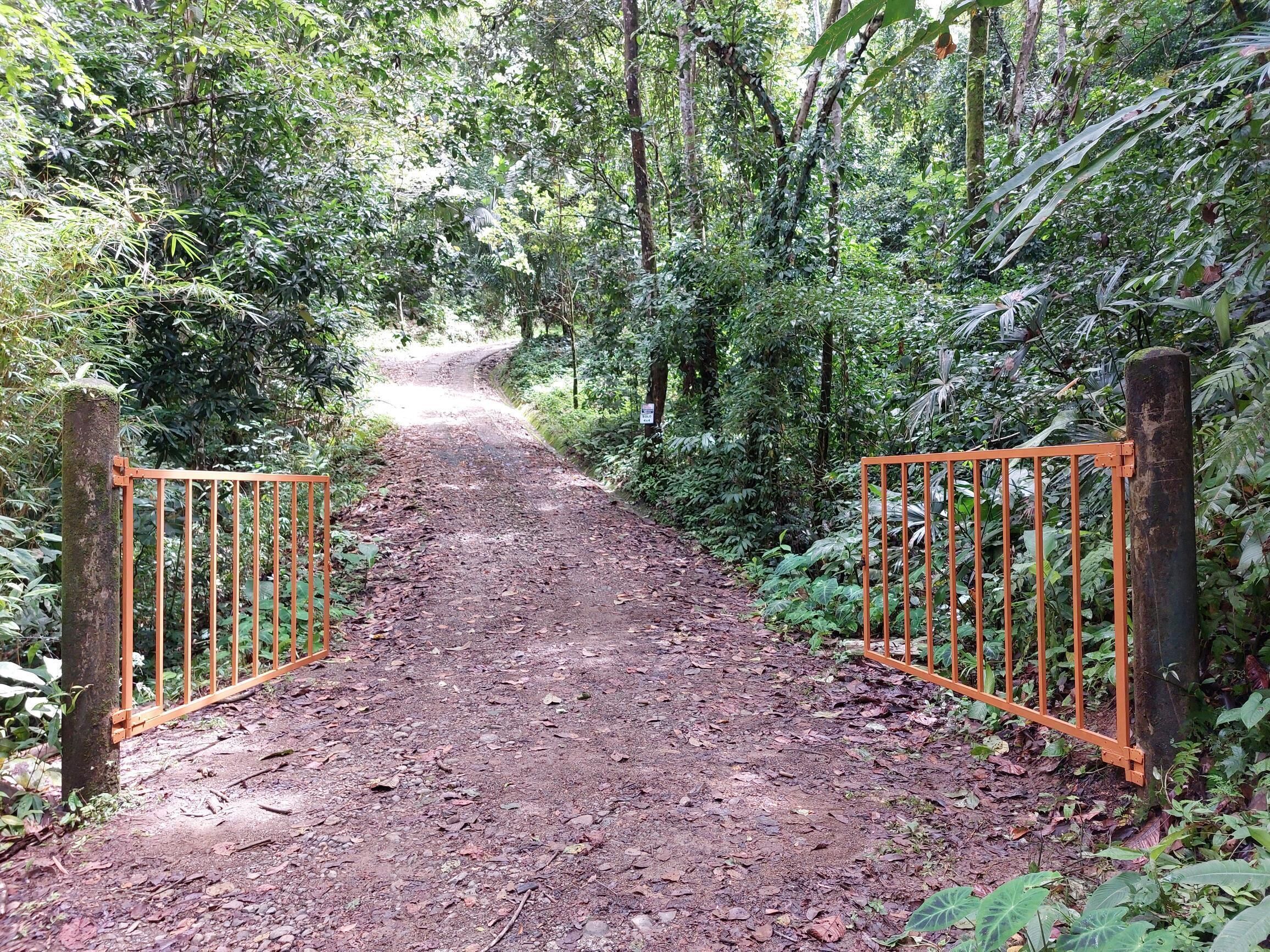 Dominical, Puntarenas, CR, 3 Bedrooms Bedrooms, ,3 BathroomsBathrooms,Residential,For Sale,1759827