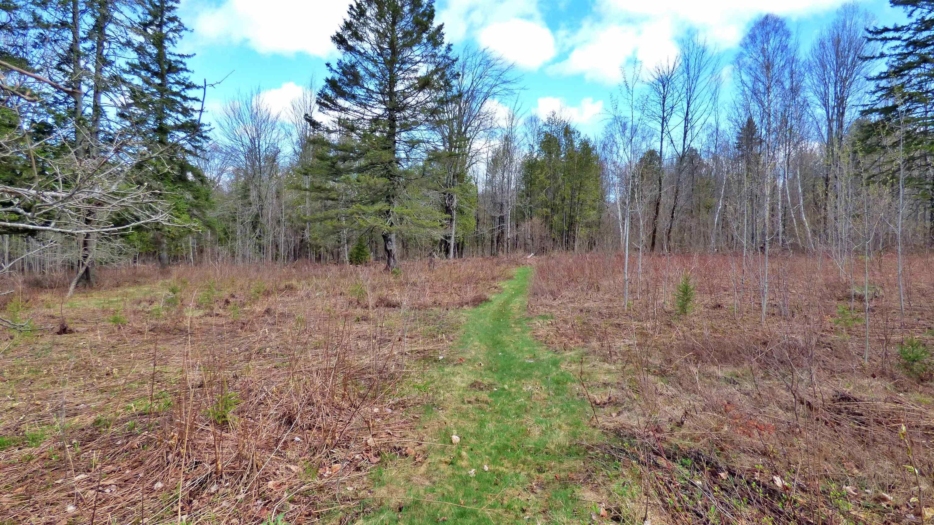 Wheelock, Vermont, 05851, United States, ,Land,For Sale,2017669