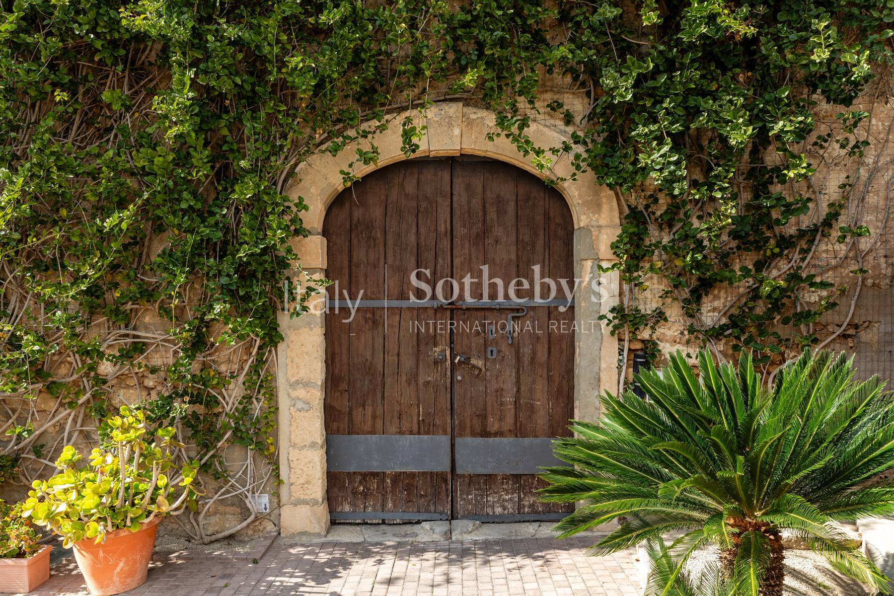 Historic Sicilian wine estate with vineyards and olive grove - 物件實景