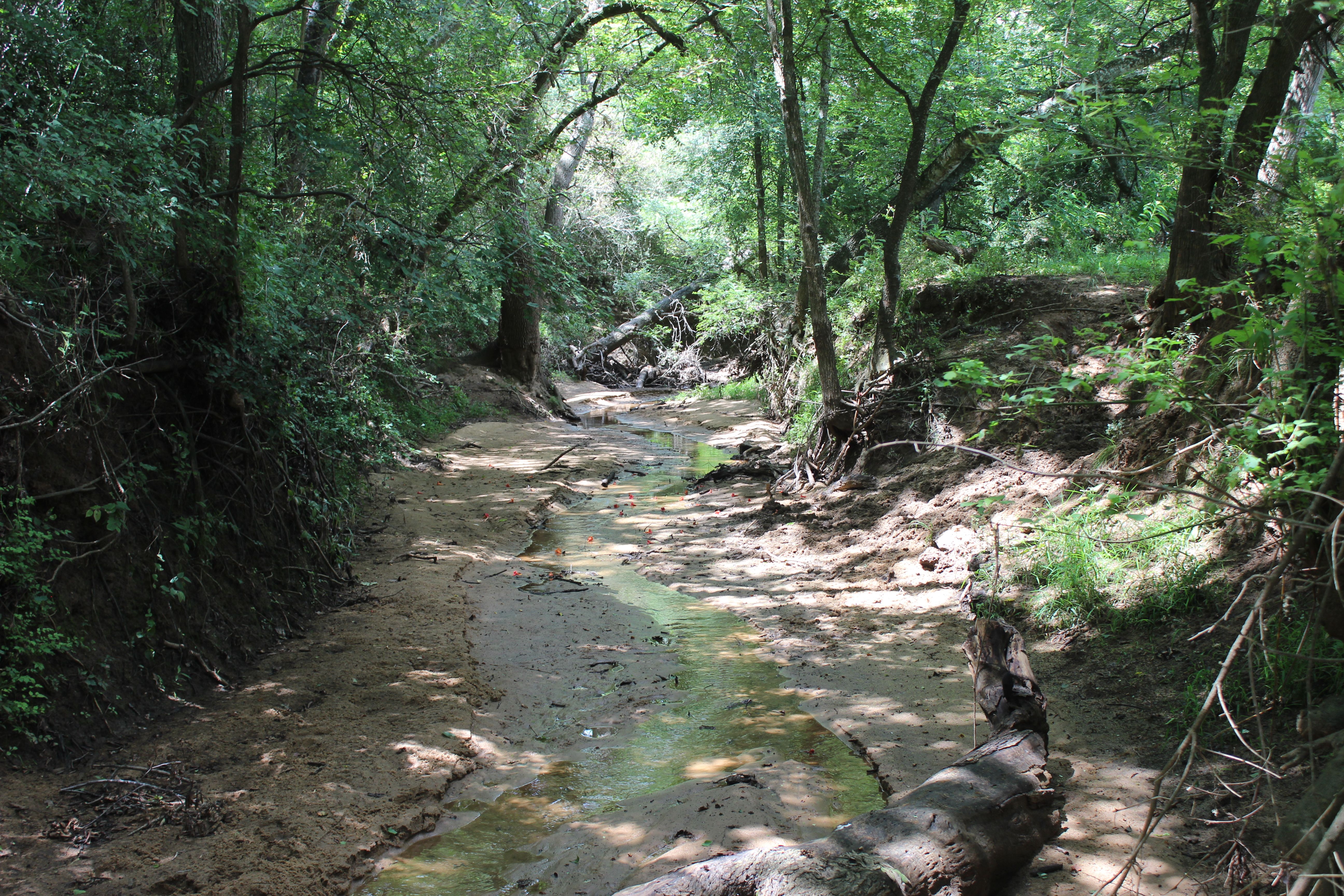  Buck Branch Ranch - 物件實景