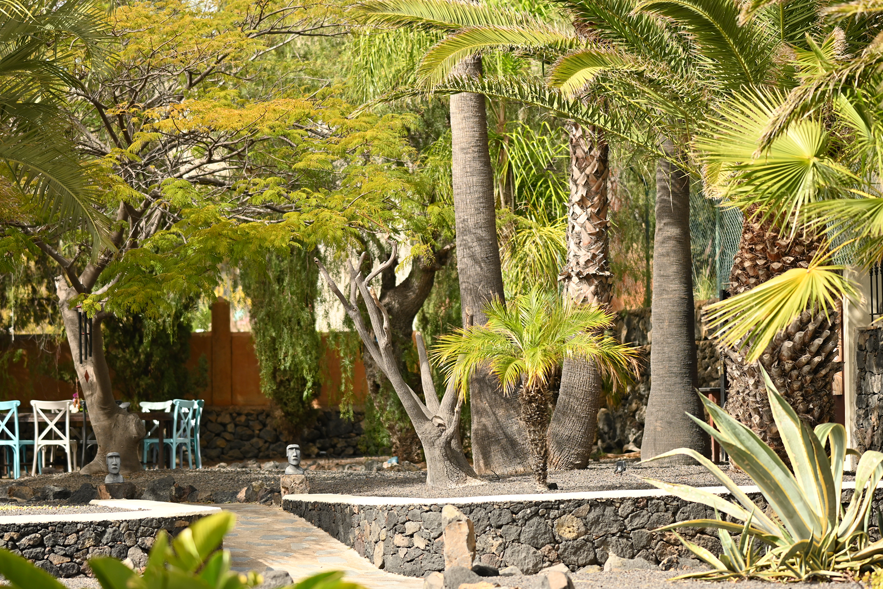  Boutique Style Residential Complex in Los Llanos de Aridane - 物件實景