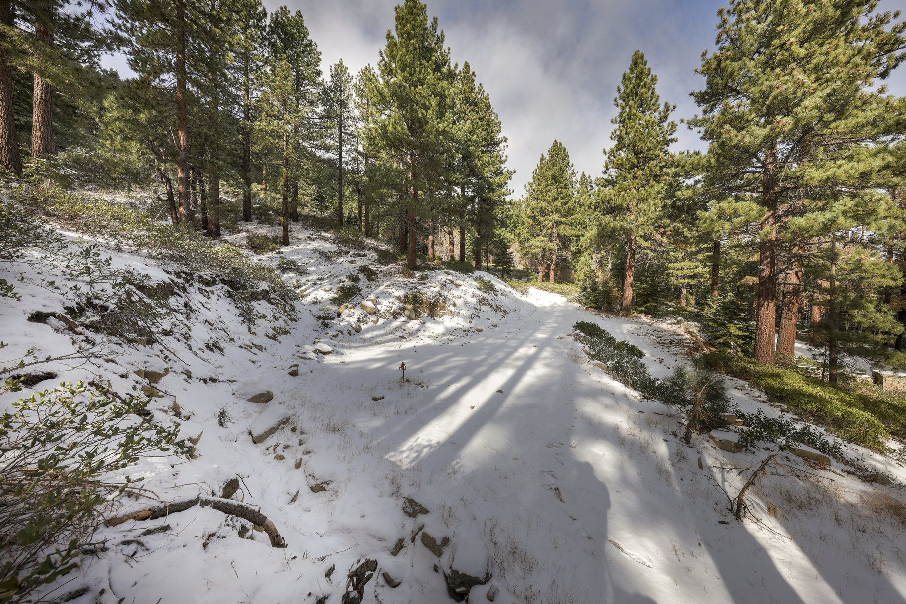  Sierra Sanctuary Lodge on 40 Acres - 物件實景