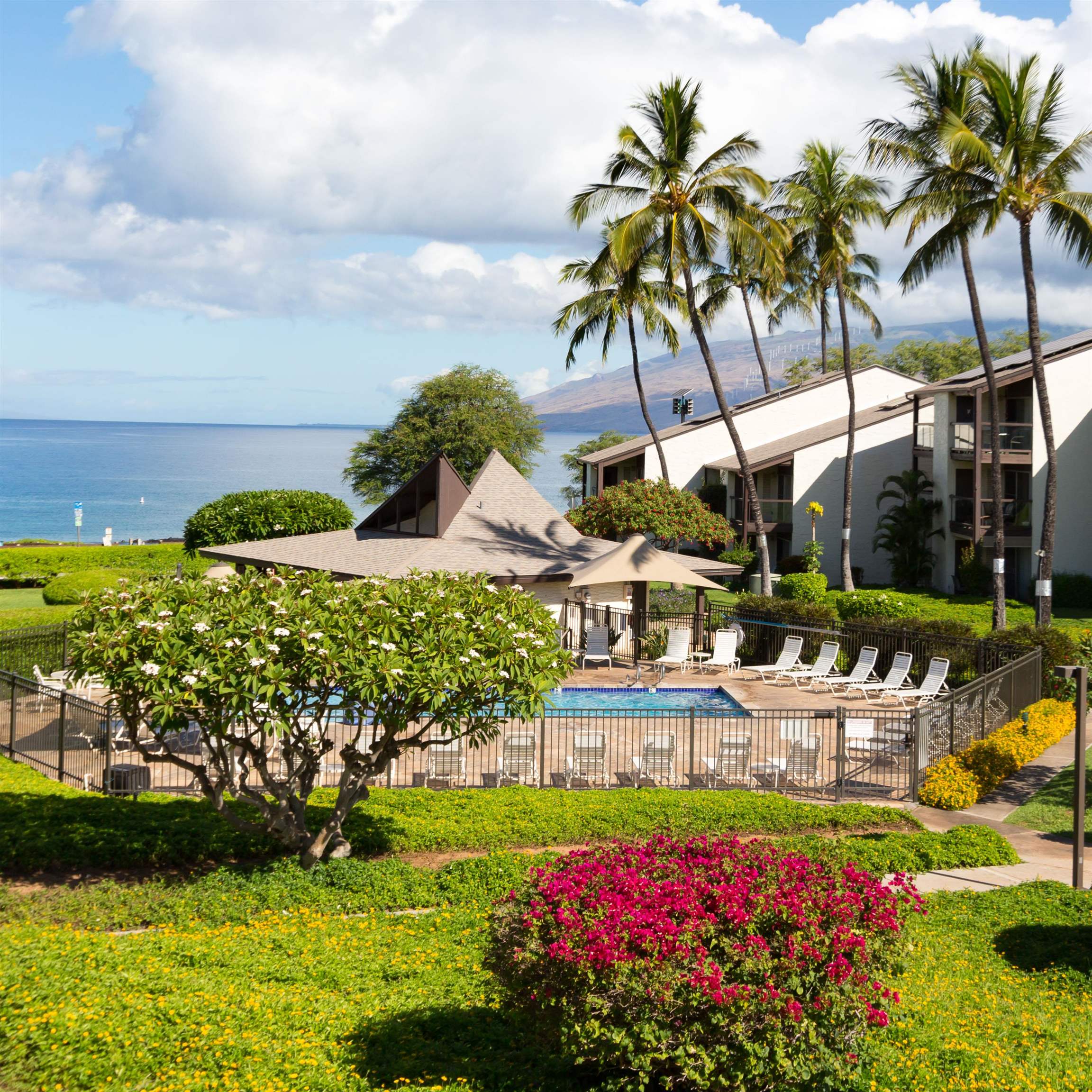 Kihei, Hawaii, 96753, United States, 2 Bedrooms Bedrooms, ,2 BathroomsBathrooms,Residential,For Sale,2003525