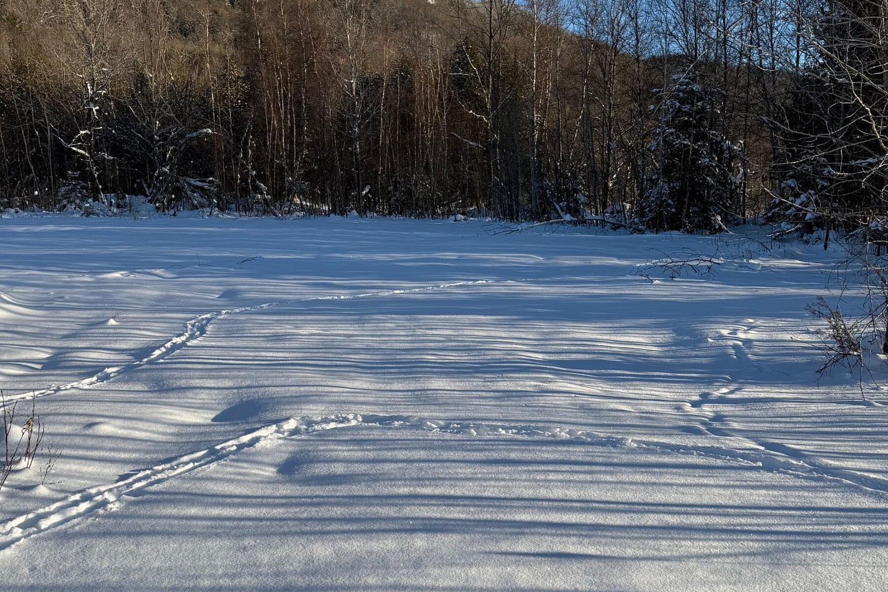  Potton, Eastern Townships - 物件實景