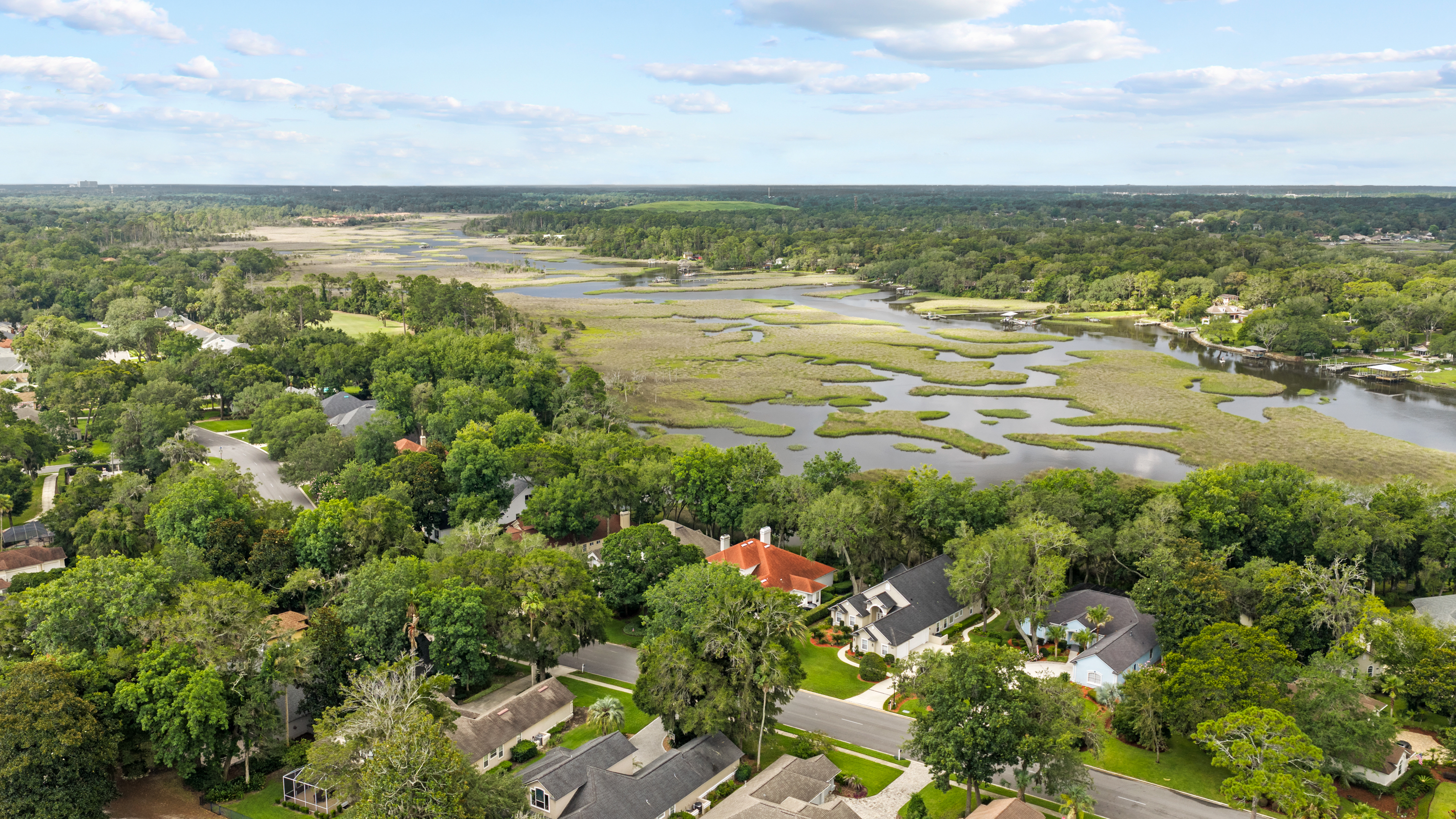  1556 Harrington Park Drive, Jacksonville, FL, 32225 - 物件實景