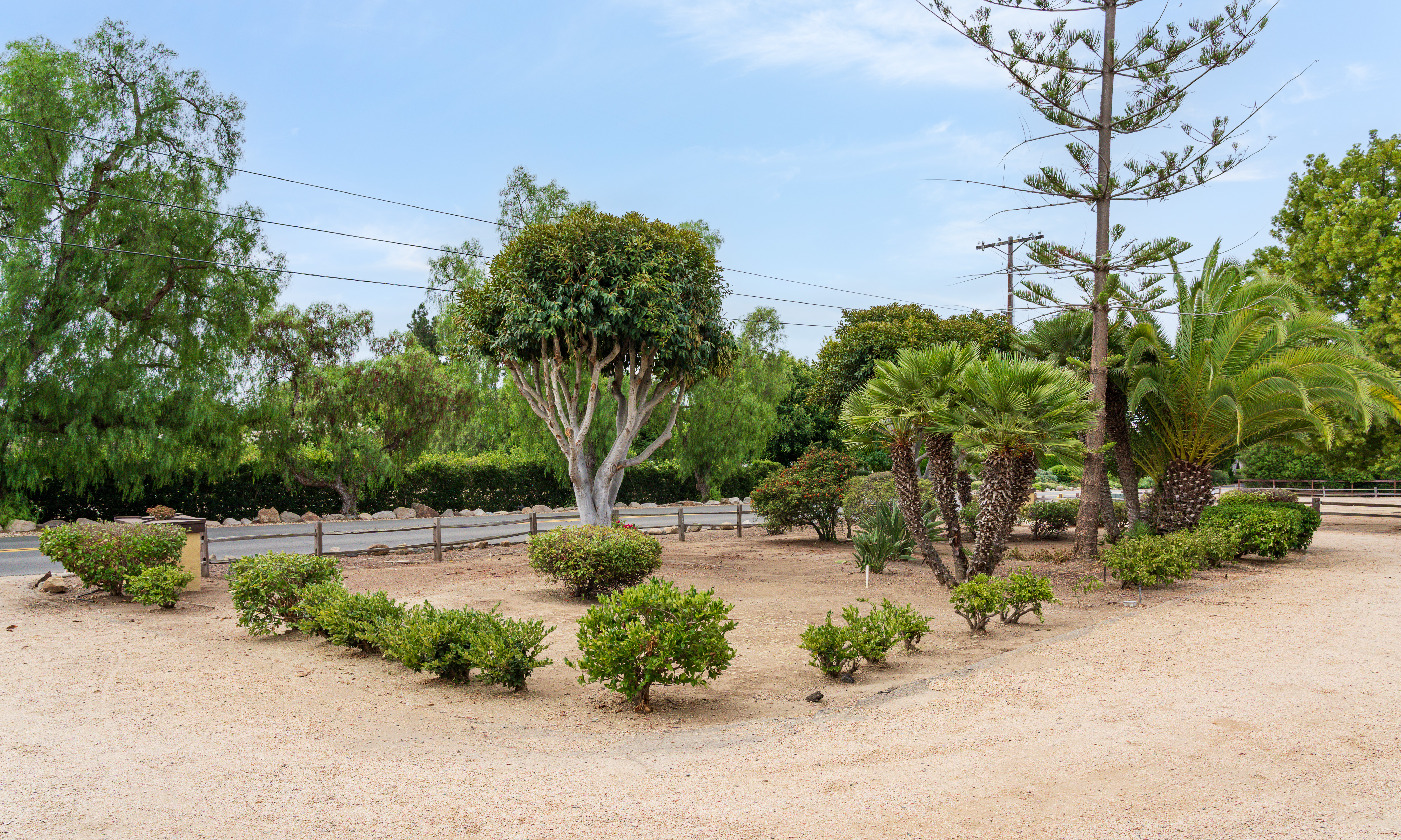  6358 Lago Lindo, Rancho Santa Fe, CA 92067 - 物件實景