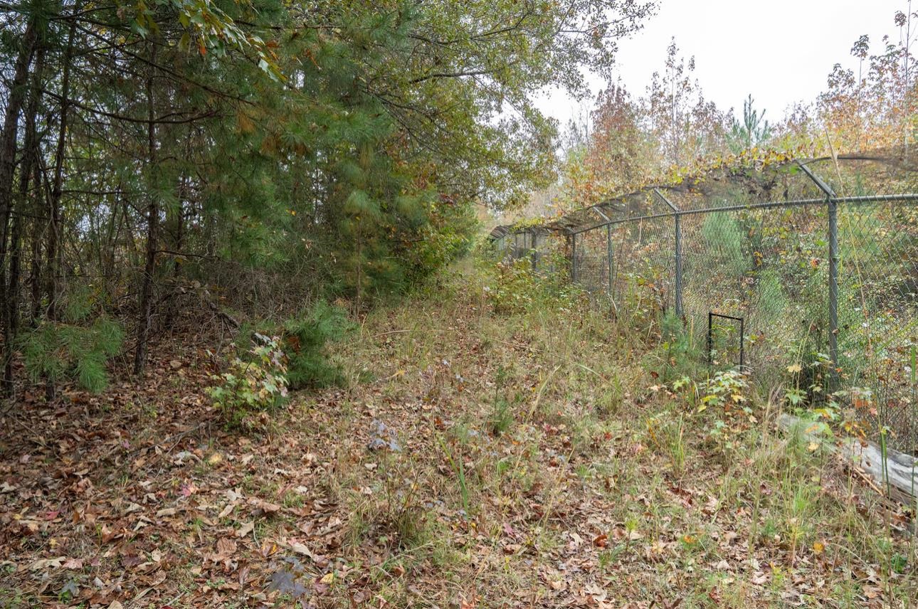 00 Highway 176 Bypass, Pacolet, South Carolina, 29372, United States, ,Land,For Sale,00 Highway 176 Bypass,1651812