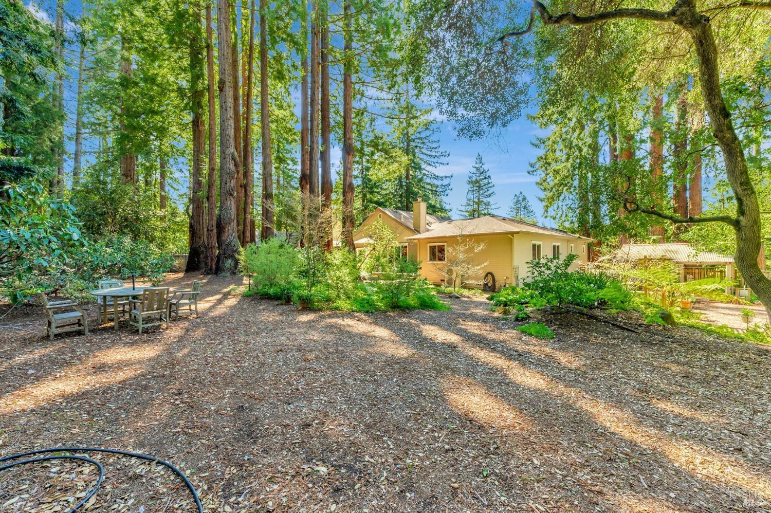 Sebastopol, California, 95472, United States, 4 Bedrooms Bedrooms, ,3 BathroomsBathrooms,Residential,For Sale,1989317