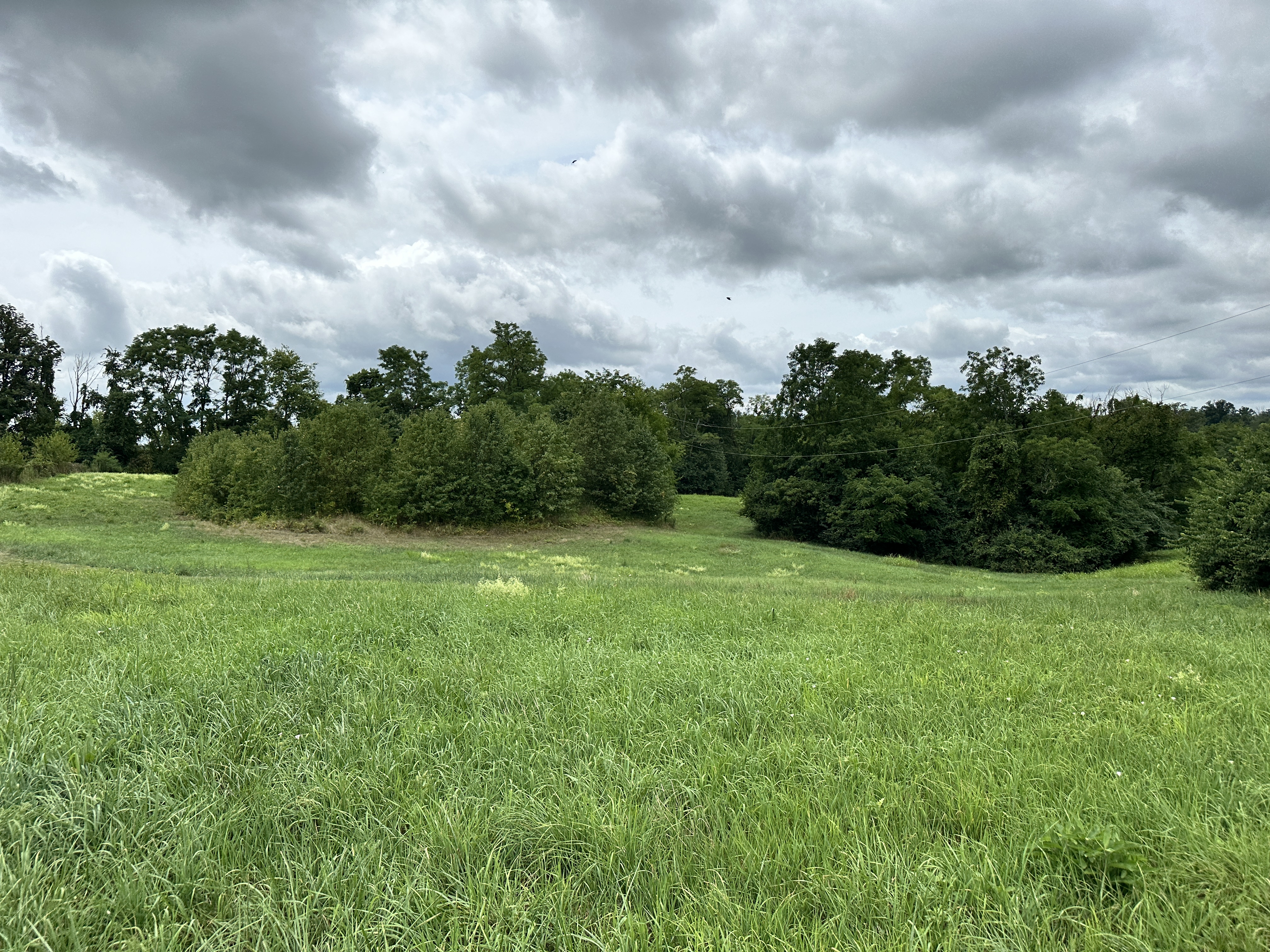 Walton, Kentucky, 41094, United States, ,Land,For Sale,1981513