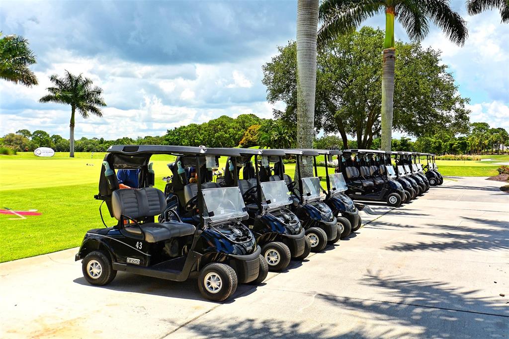 Osprey, Florida, 34229, United States, 3 Bedrooms Bedrooms, ,3 BathroomsBathrooms,Residential,For Sale,1992079