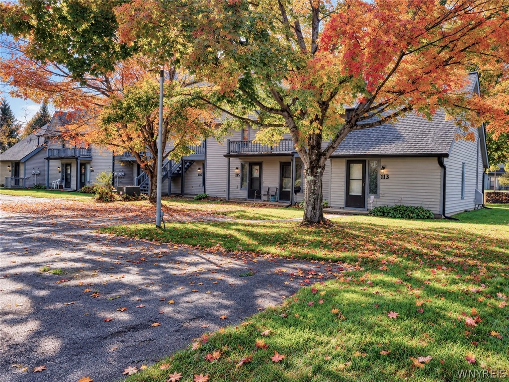 Wildflower , Ellicottville, NY 14731 #1