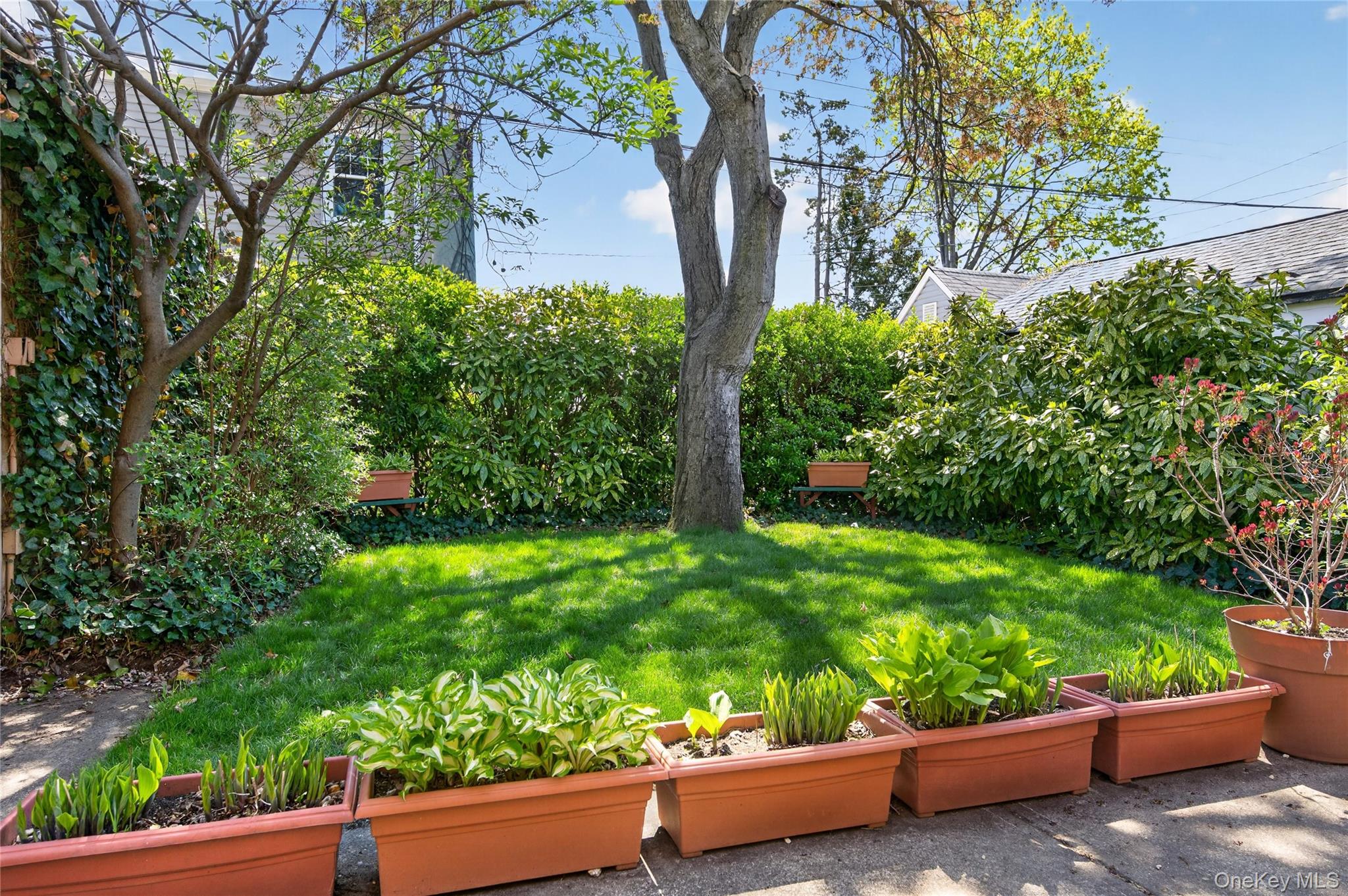  160 Albermarle Avenue, Valley Stream, NY, 11580 - 物件實景