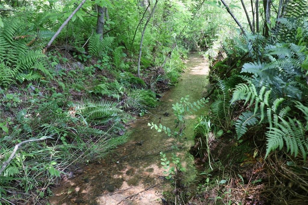 Ellijay, Georgia, 30540, United States, ,Residential,For Sale,1881390