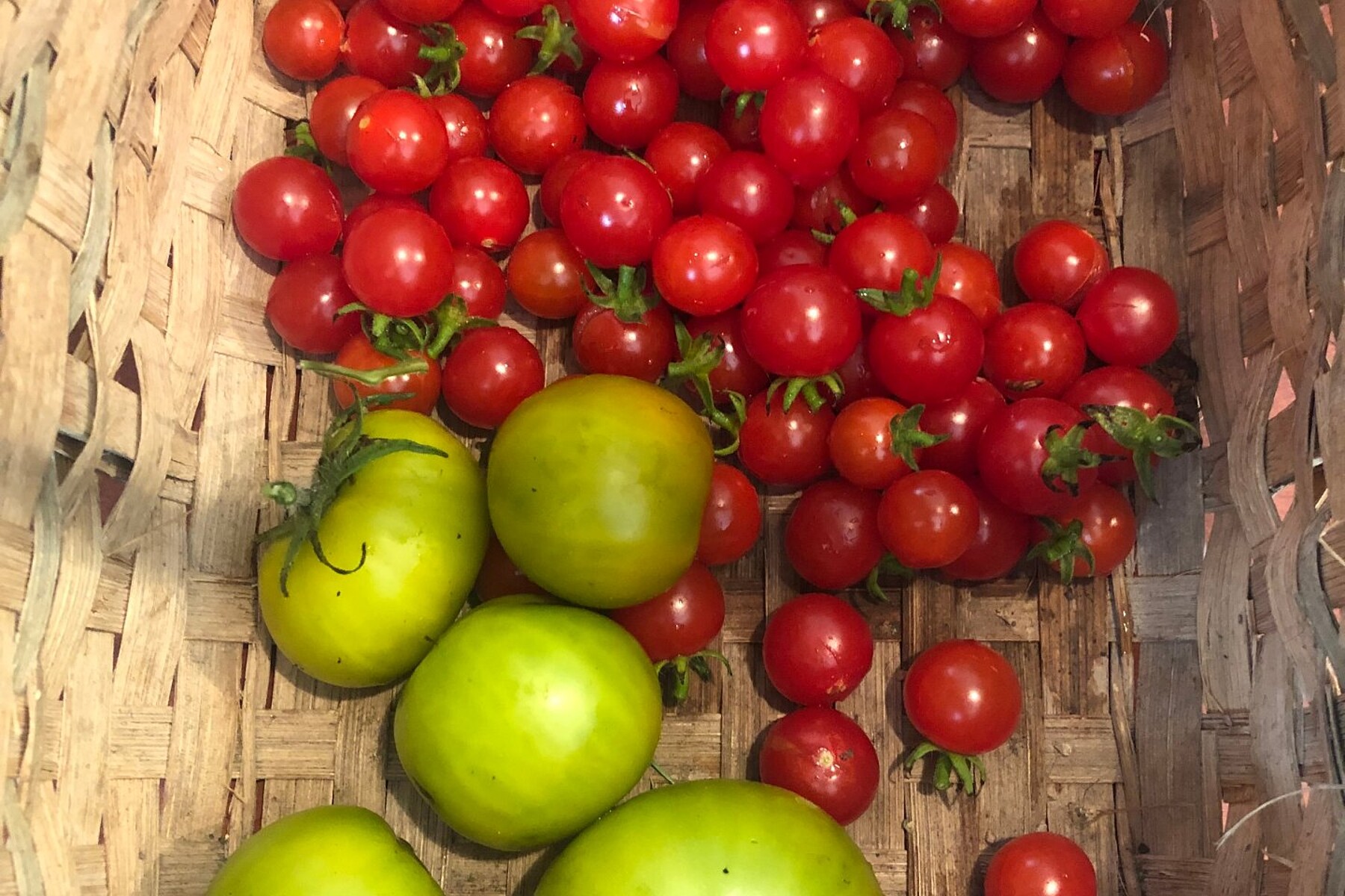  Saint-Jacques, Lanaudière - 物件實景