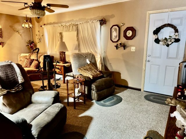 Pond St, Lostant, IL 61334 #1