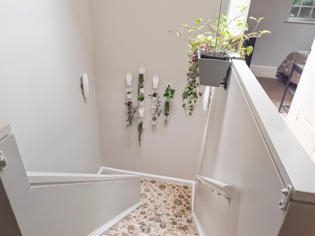 Brookline, Massachusetts, 02445, United States, 3 Bedrooms Bedrooms, ,2 BathroomsBathrooms,Residential,For Sale,1891424
