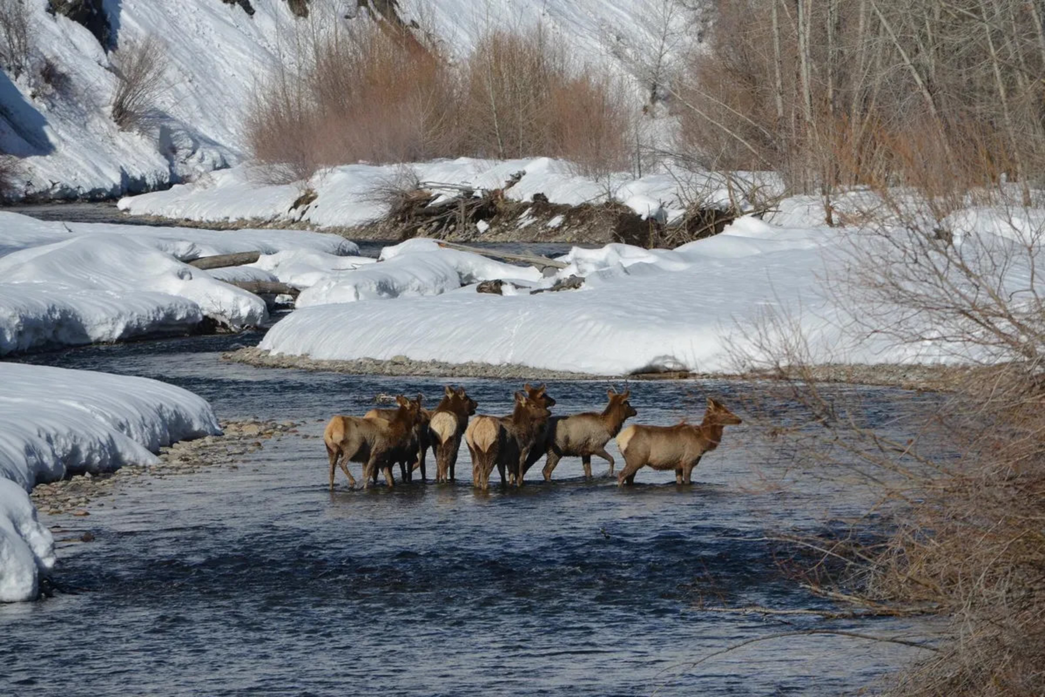  Bend Of The River Ranch - 物件實景