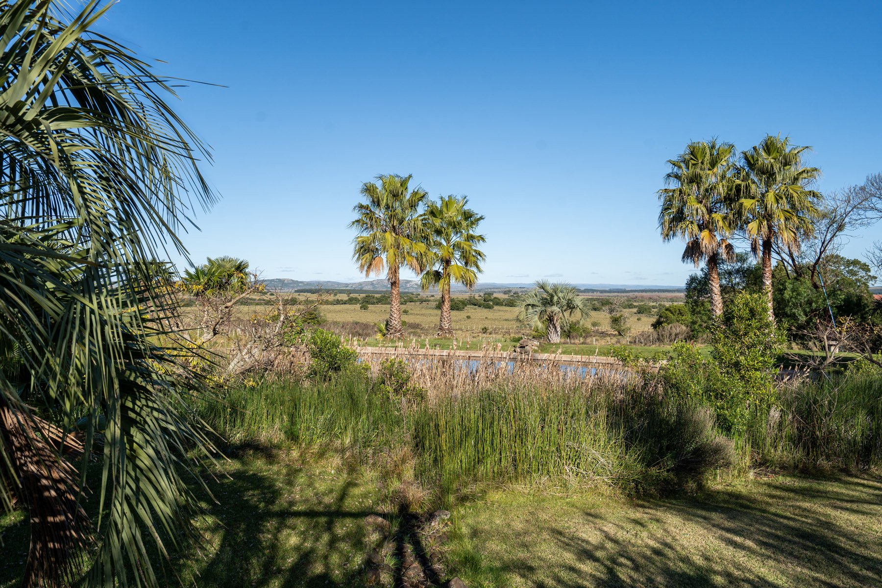  Excellent property in the Sierras. - 物件實景