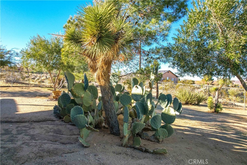 61218 Sandalwood, Joshua Tree, California, 92252, United States, 3 Bedrooms Bedrooms, ,2 BathroomsBathrooms,Residential,For Sale,61218 Sandalwood,1619785