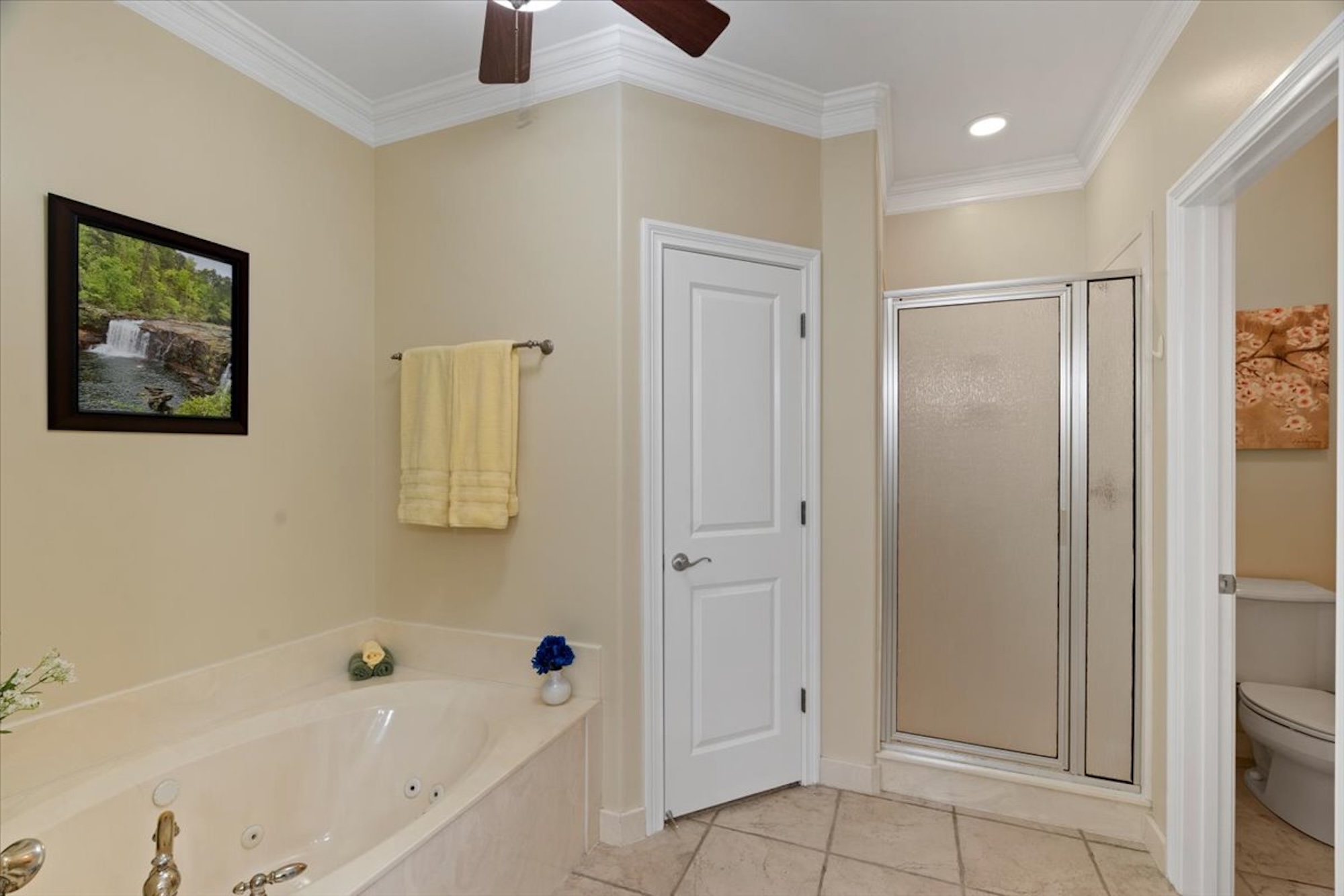  93 Nob Hill, Munford, TN, 38058 - 物件實景