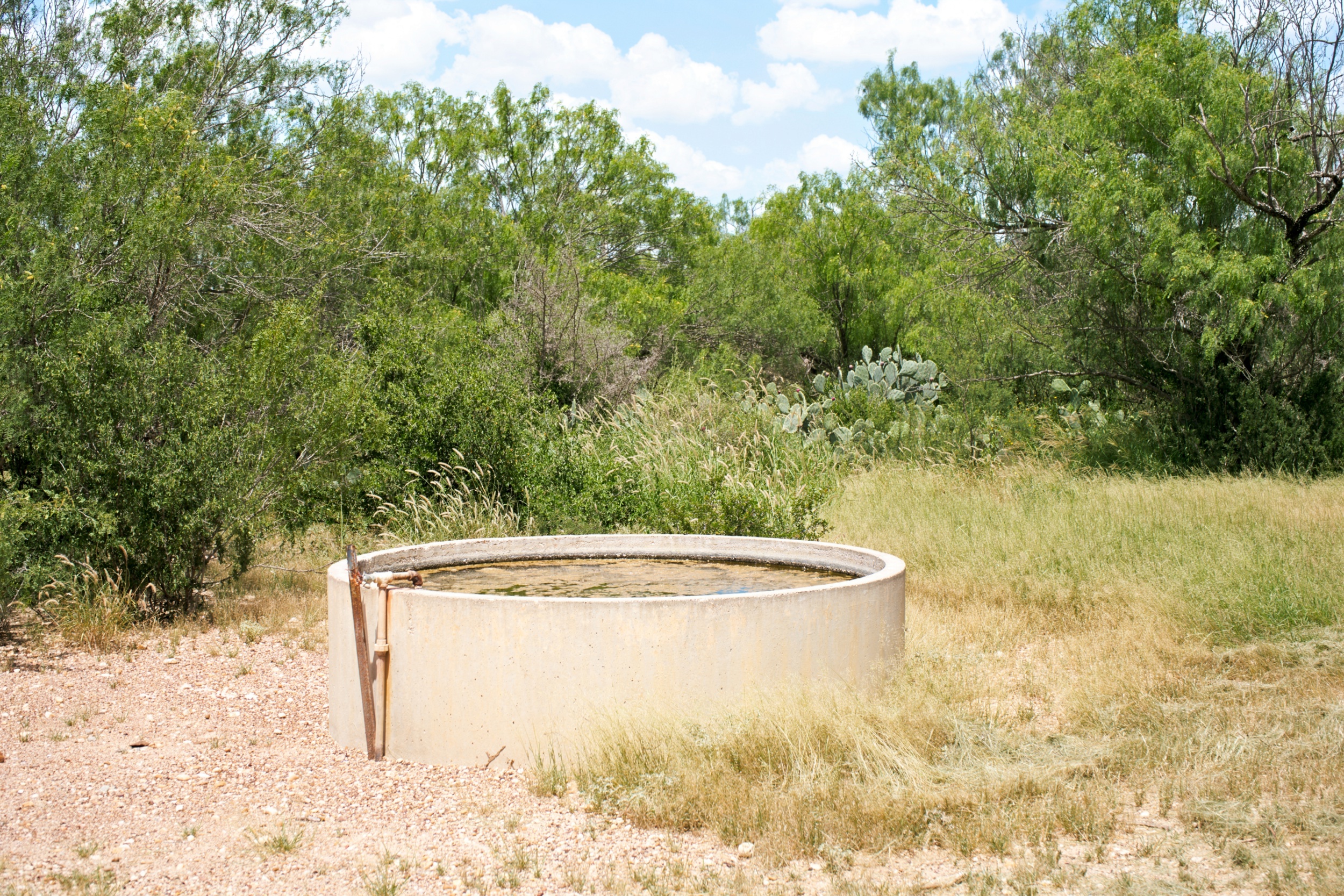  Moro Creek Ranch in Dimmit County - 物件實景