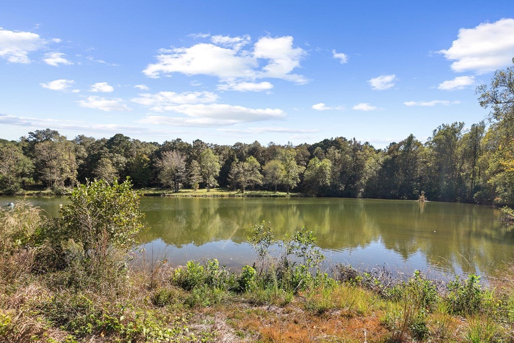 Midland City, Alabama, 36350, United States, 4 Bedrooms Bedrooms, ,3 BathroomsBathrooms,Residential,For Sale,1989153