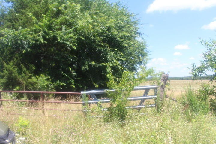 Polk, Missouri, 65727, United States, ,Land,For Sale,1980569
