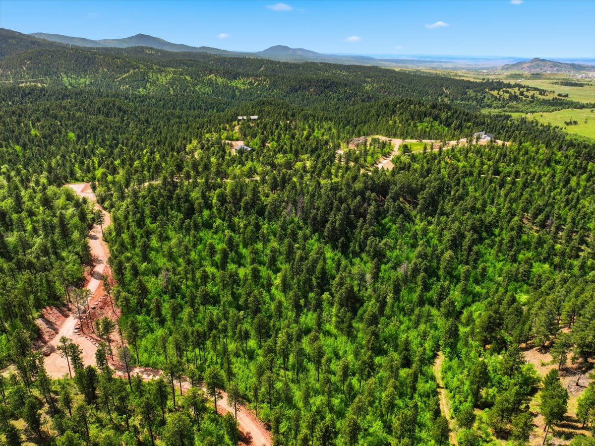 Spearfish, South Dakota, 57783, United States, ,Land,For Sale,2048171