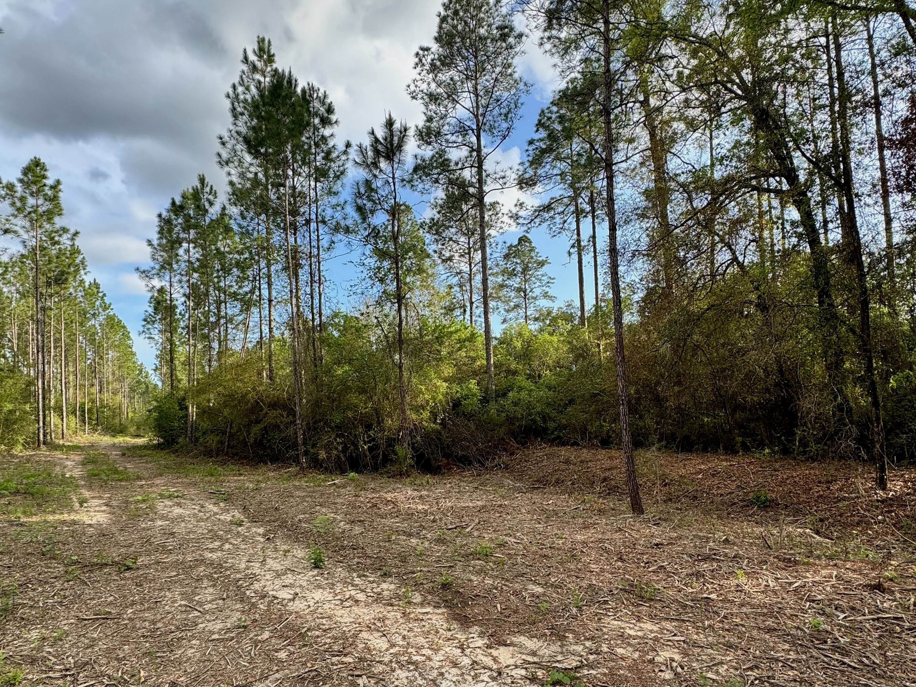  Creekside Estate Homesite  14.88 Acres - 物件實景