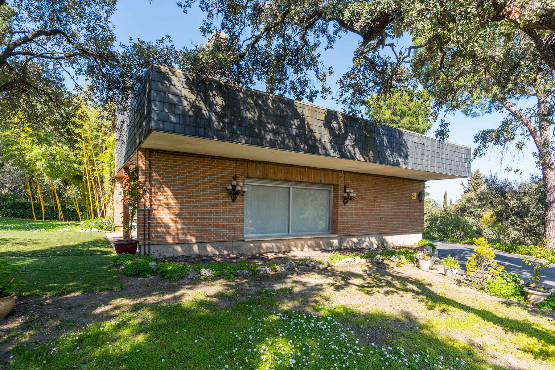  Wonderful hectare plot in La Moraleja - 物件實景