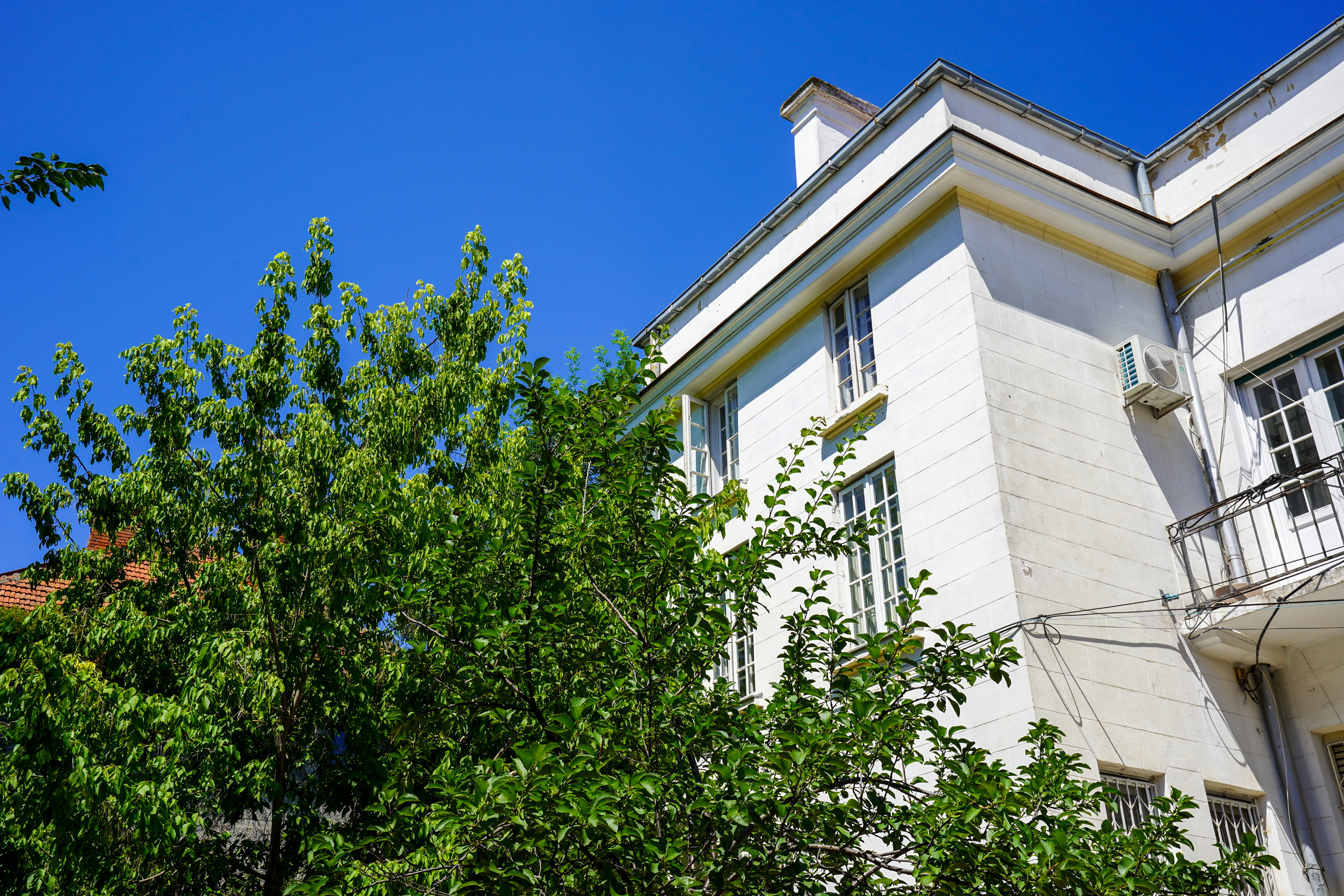  A Collector’s Residence on Kiseleff – The Architectural Legacy of Burcu & Marcu - 物件實景