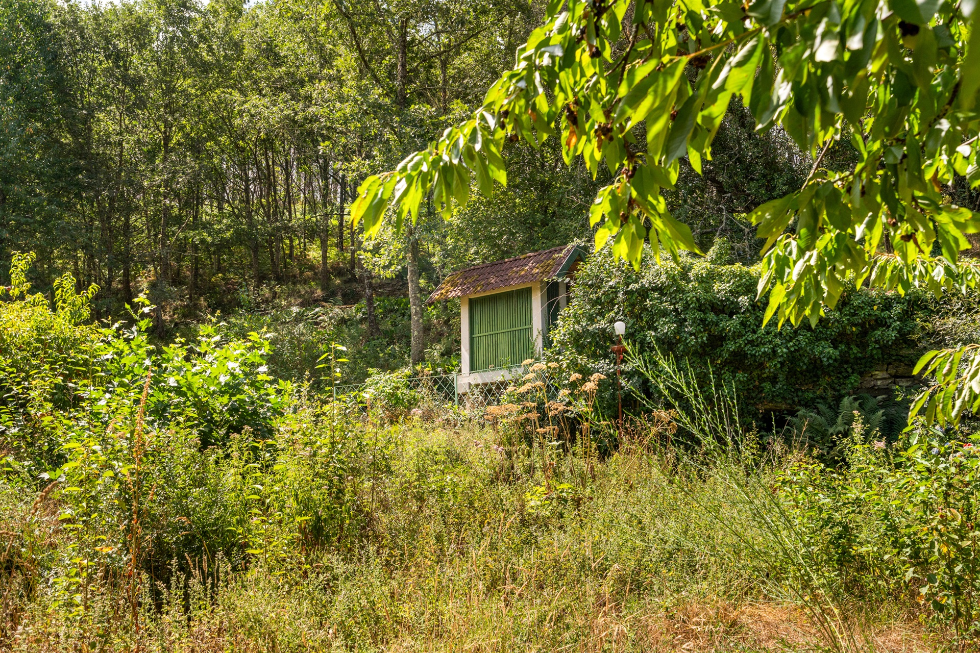  Farm, 5 bedrooms, for Sale - 物件實景