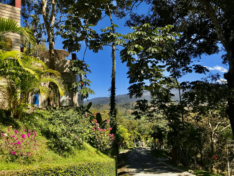 Carr. a Chacala, El Tuito, Jalisco, 48400, Mexico, 1 Bedroom Bedrooms, ,Residential,For Sale,Carr. a Chacala,1425828