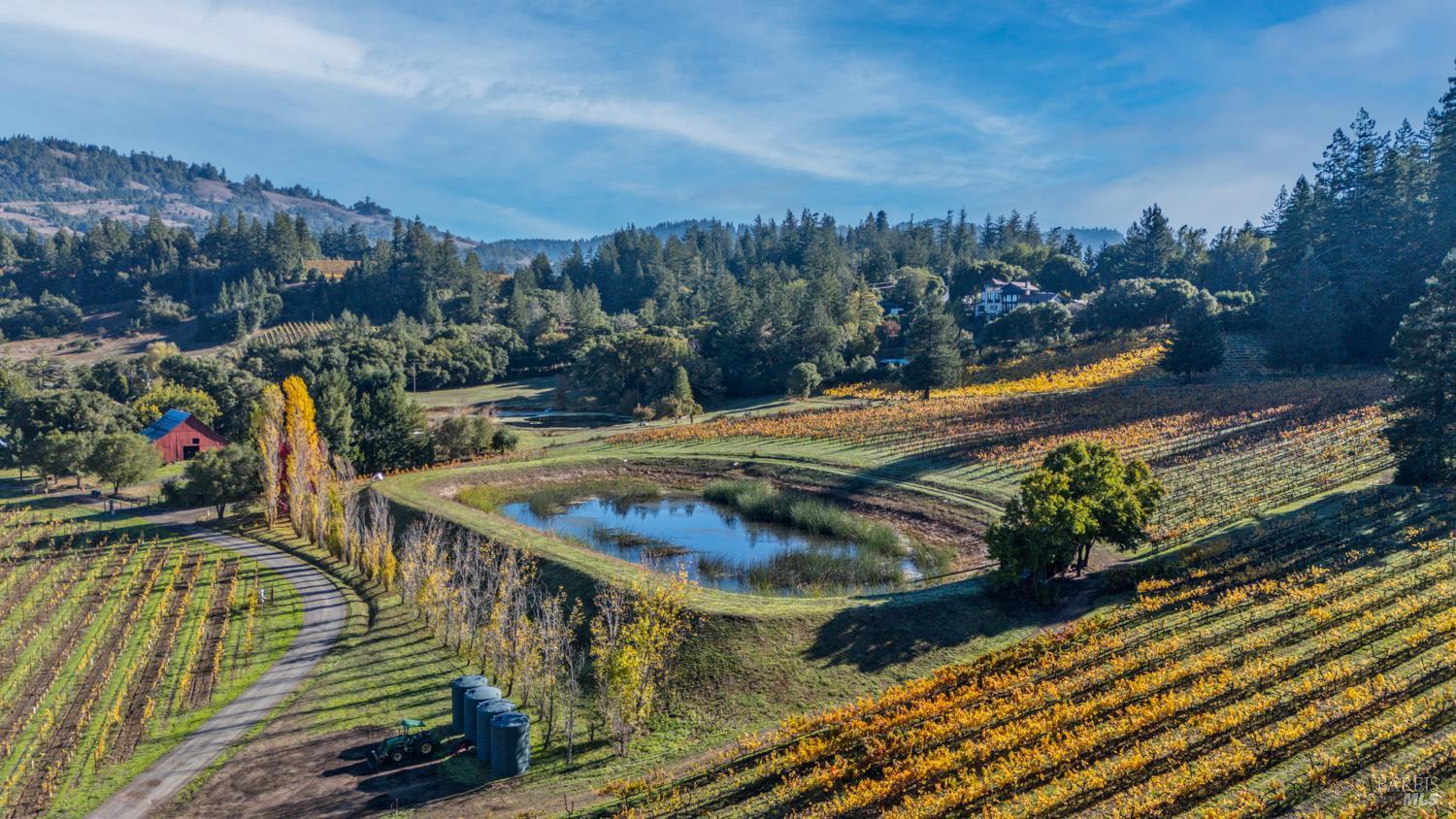 Philo, California, 95466, United States, 3 Bedrooms Bedrooms, ,3 BathroomsBathrooms,Residential,For Sale,1987364