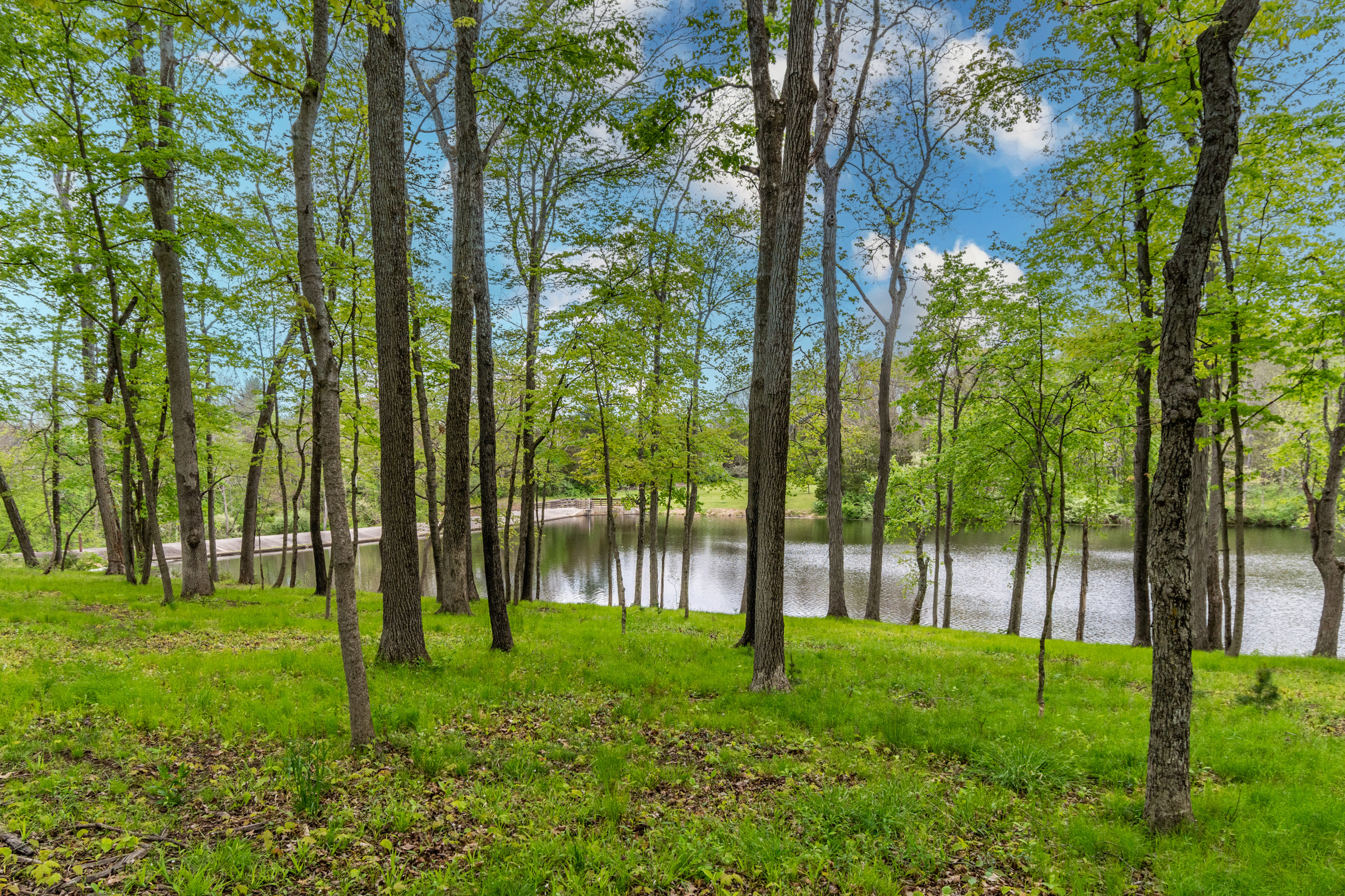  Lakeside Luxury on 44+ Acres - 物件實景