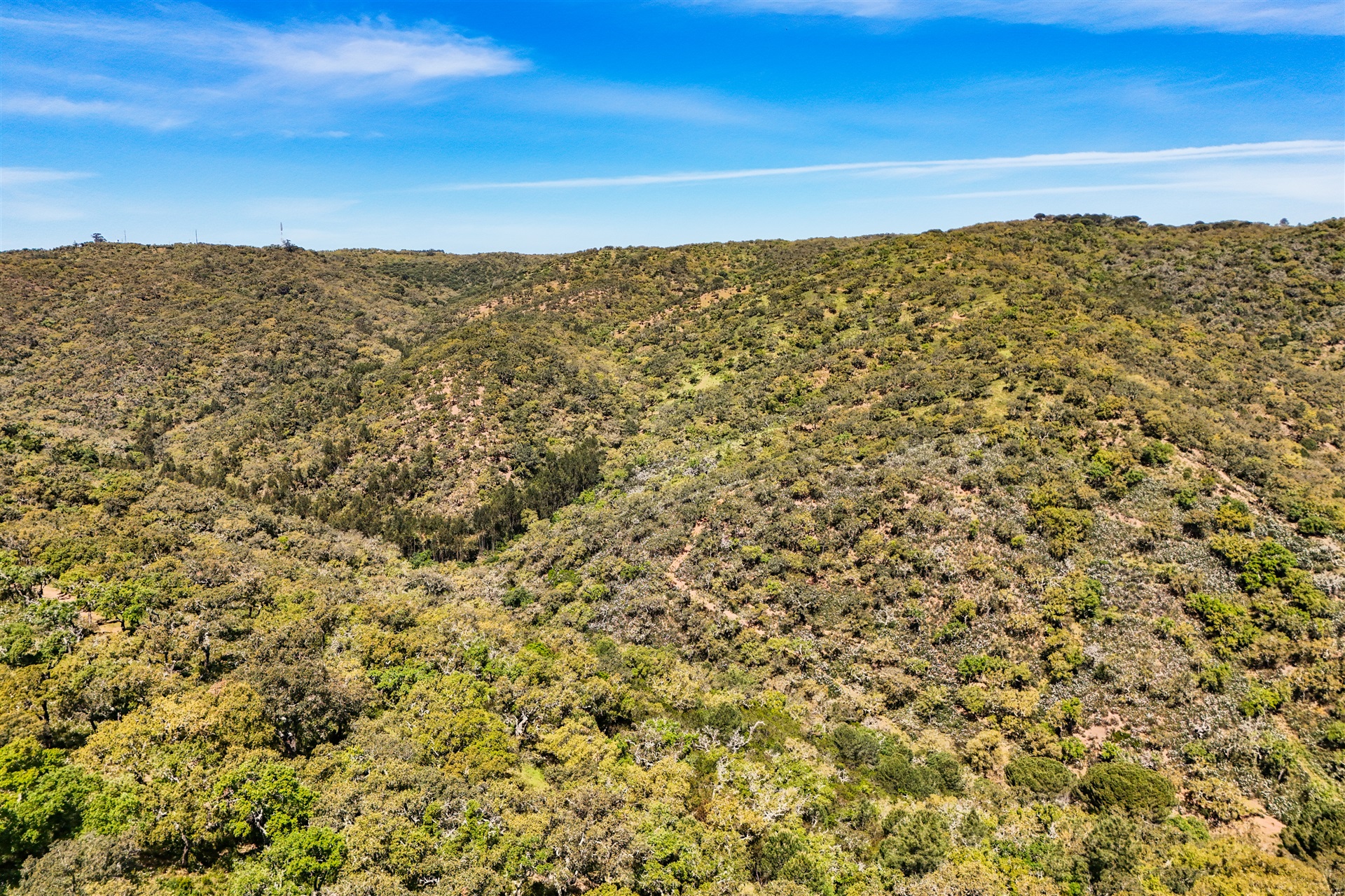  Real estate land for Sale - 物件實景