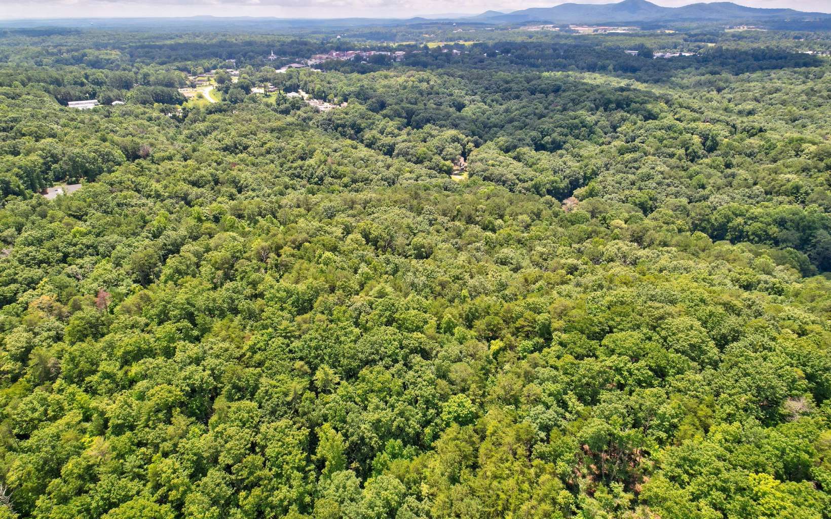 Jasper, Georgia, 30143, United States, ,Residential,For Sale,1916638