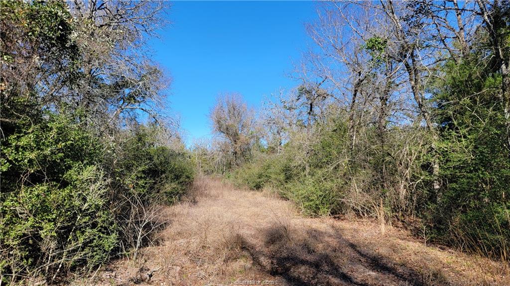 Franklin, Texas, 77856, United States, 6 Bedrooms Bedrooms, ,5 BathroomsBathrooms,Residential,For Sale,1701254