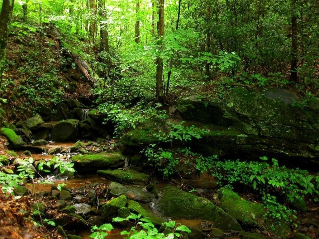 Hiawassee, Georgia, 30546, United States, 3 Bedrooms Bedrooms, ,4 BathroomsBathrooms,Residential,For Sale,1981335