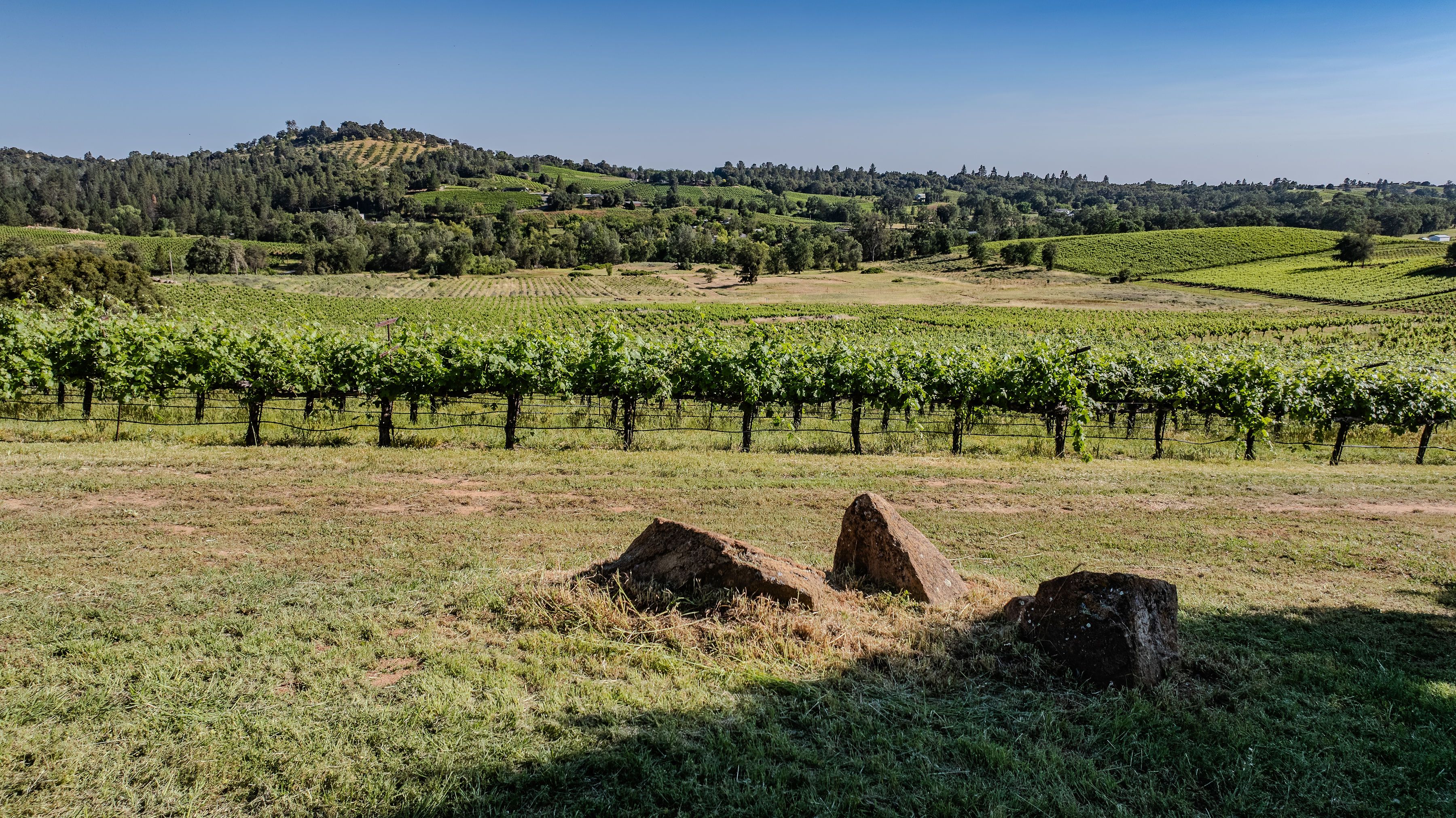  12551 Steiner Road, Plymouth, CA 95669 - 物件實景