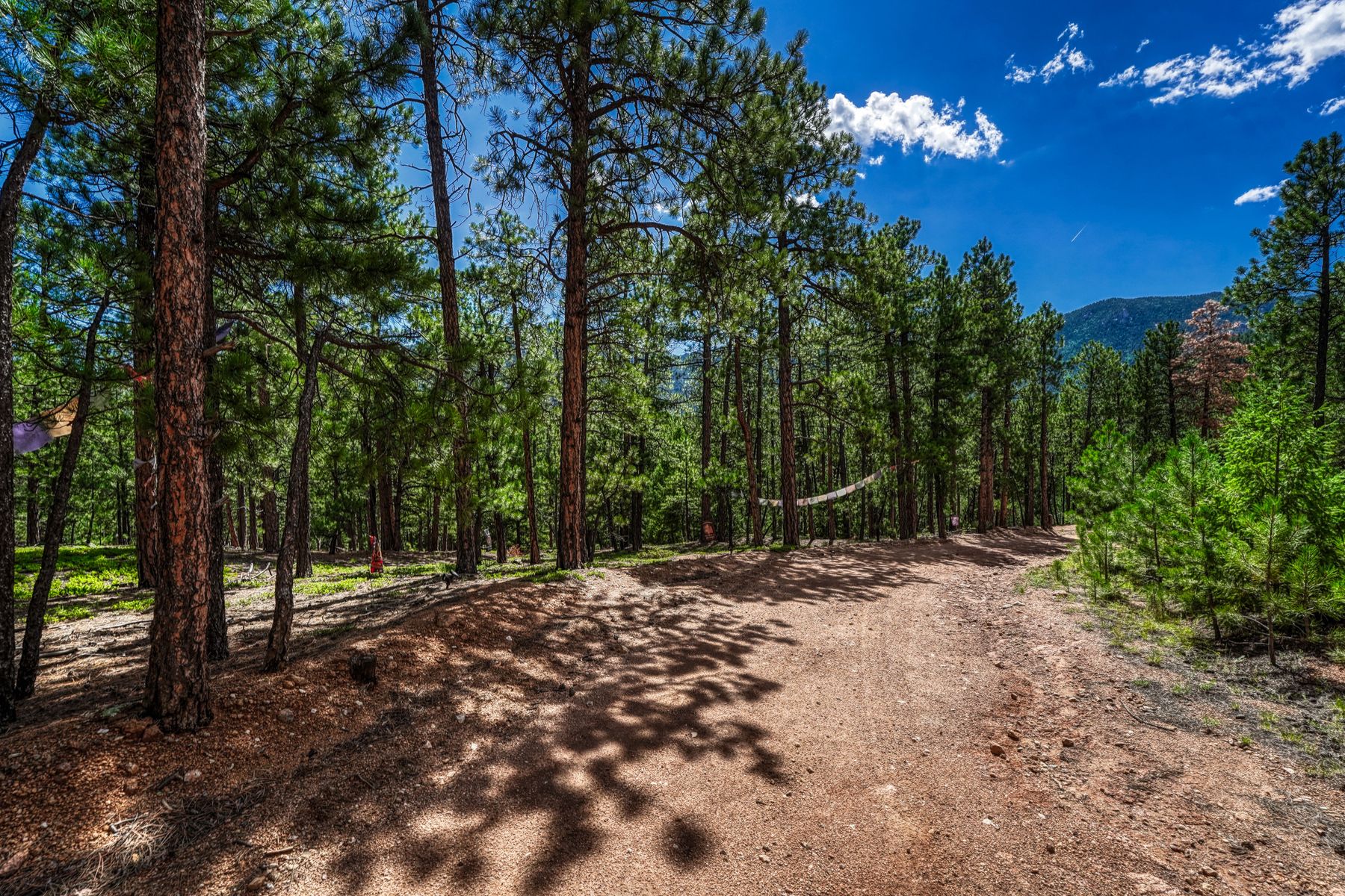  MOUNTAIN SANCTUARY HIGH ABOVE THE BROADMOOR - 物件實景
