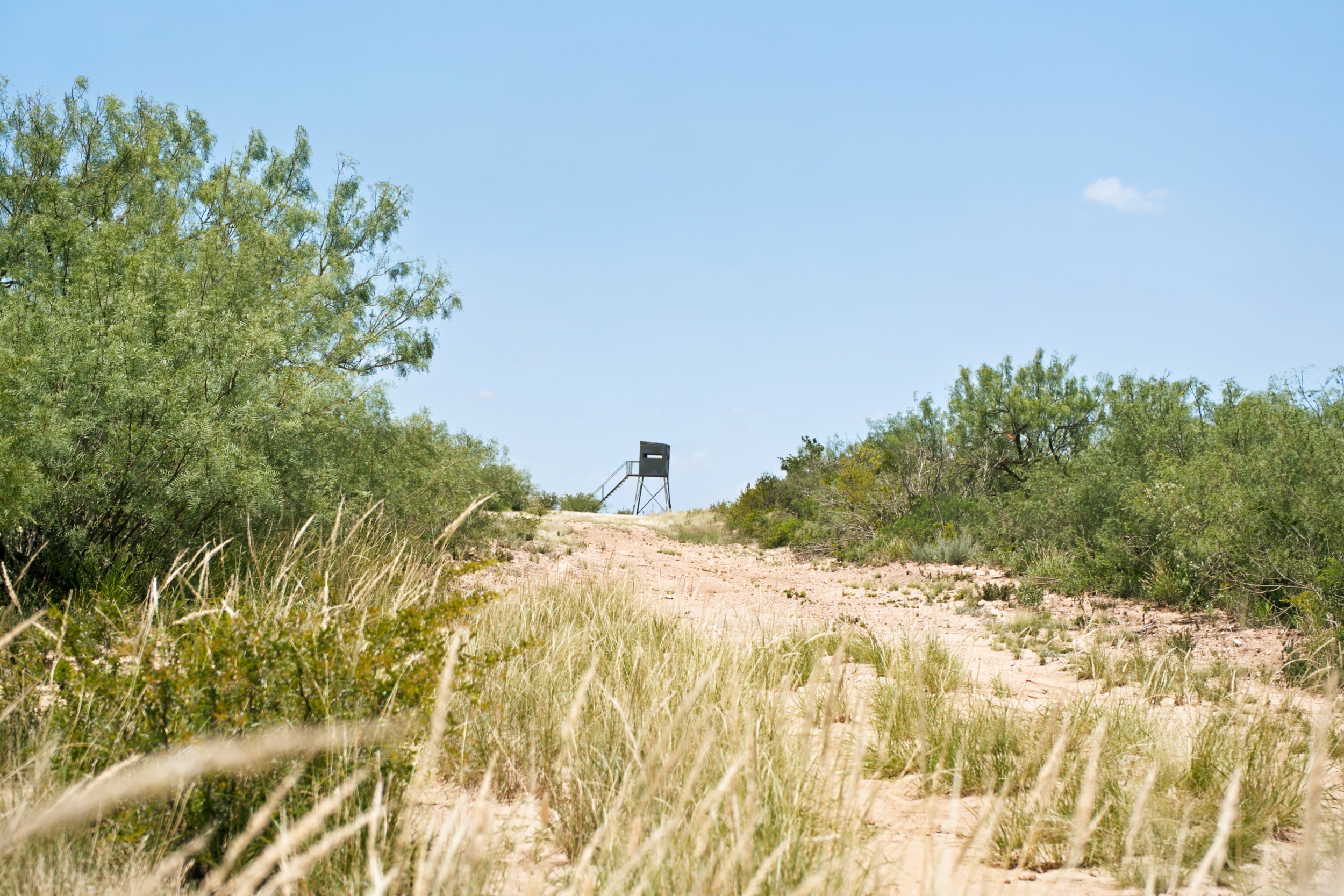  3,640+/- Acre Rosita Lake Ranch - 物件實景