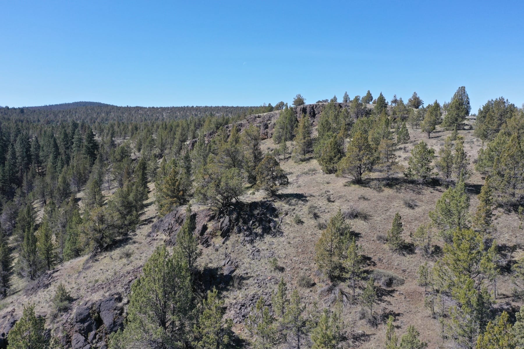  16305 N East Ochoco Highway Prineville, OR 97754 - 物件實景