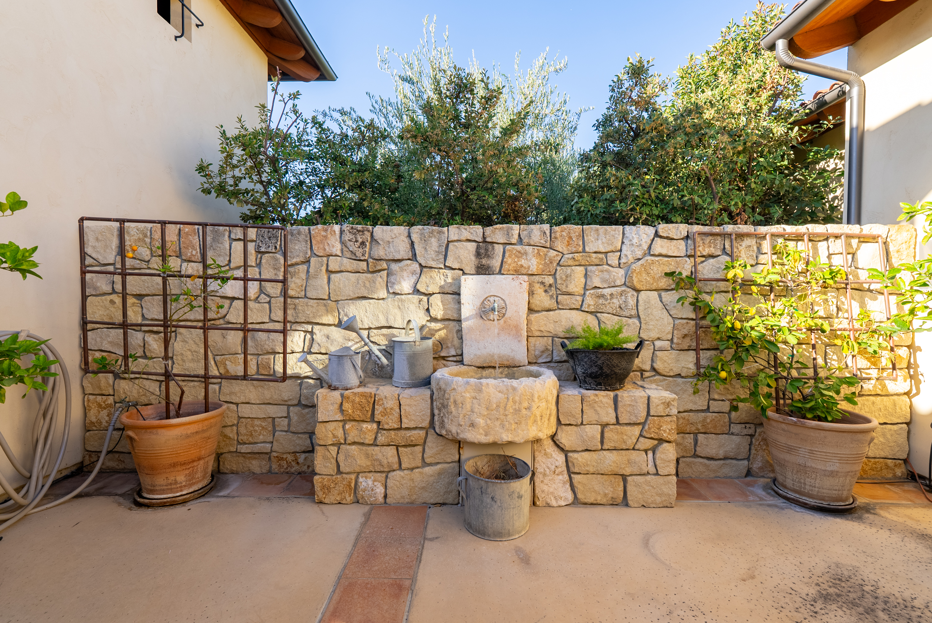  2325 Warm Springs Lane - 物件實景