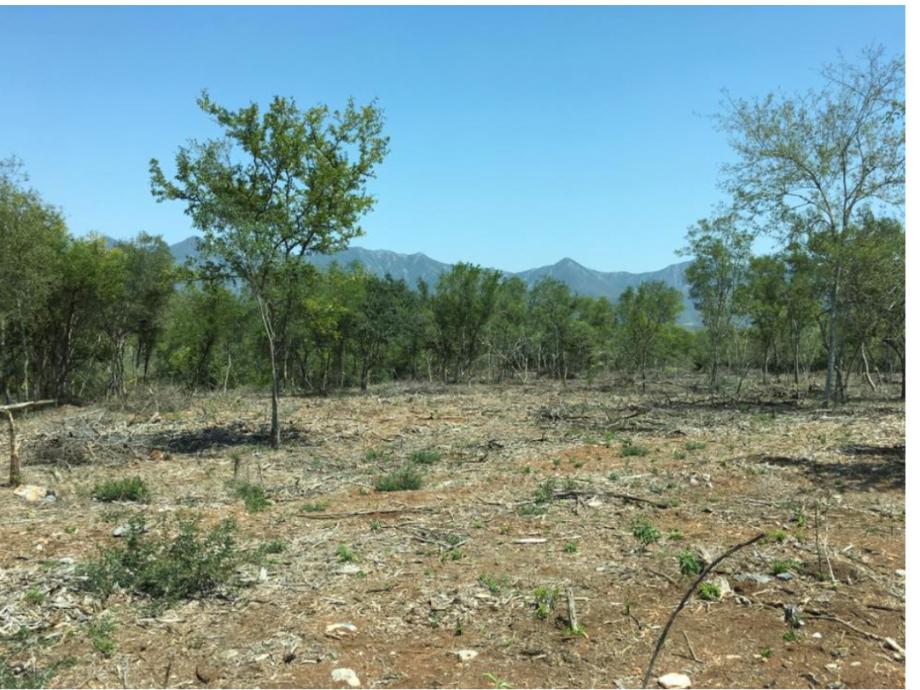 barrial, Santiago, Nuevo León, 67303, Mexico, 1 Bedroom Bedrooms, ,Residential,For Sale,barrial,1626355
