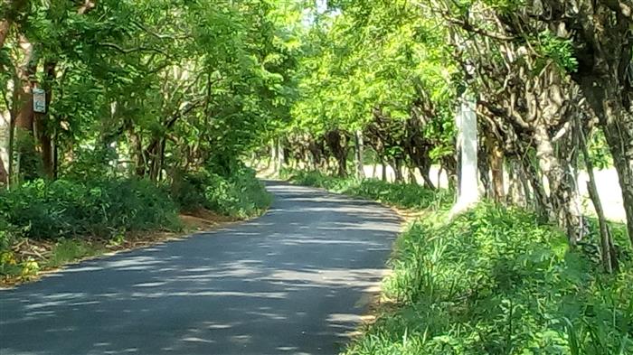 Sosua, DO, ,Land,For Sale,1622583