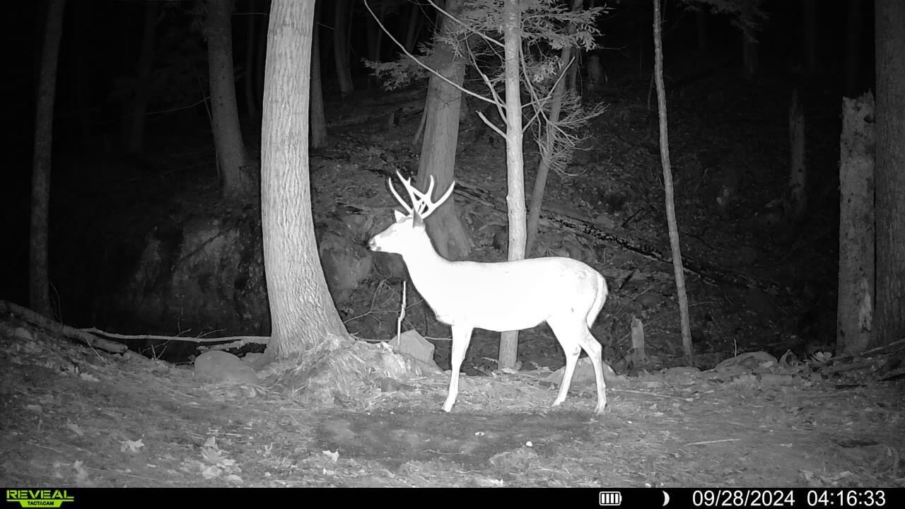 735 Highland Road, Keeseville, New York, 12944, United States, 2 Bedrooms Bedrooms, ,2 BathroomsBathrooms,Residential,For Sale,735 Highland Road,1587579